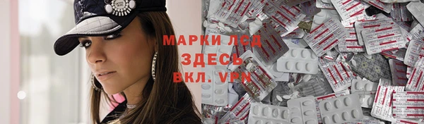 индика Белоозёрский