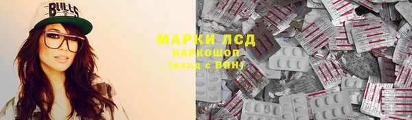 прущие грибы Беломорск