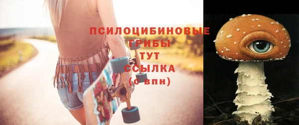 прущие грибы Беломорск
