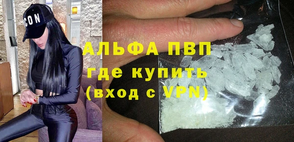индика Белоозёрский
