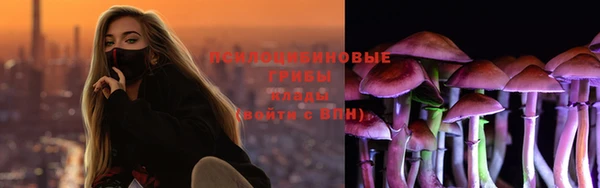 прущие грибы Беломорск