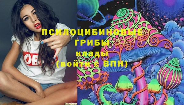 прущие грибы Беломорск