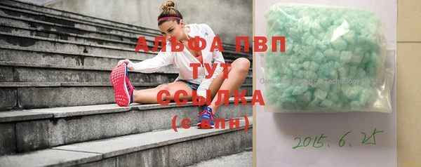 индика Белоозёрский