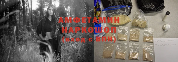 прущие грибы Беломорск