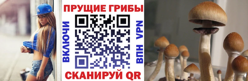Галлюциногенные грибы мухоморы Краснотурьинск