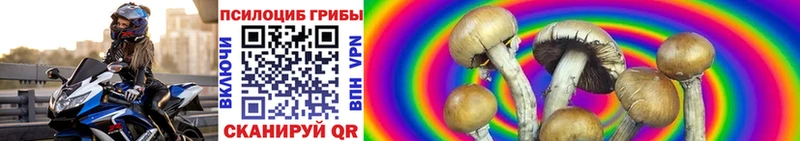 продажа наркотиков  Краснотурьинск  Галлюциногенные грибы ЛСД 